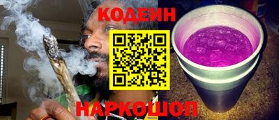 индика Анжеро-Судженск