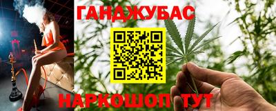 индика Анжеро-Судженск