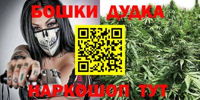 индика Анжеро-Судженск