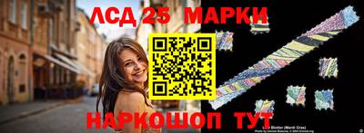 индика Анжеро-Судженск